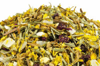 Aloe Vera Ingwer Mandarine – Fruchtige...